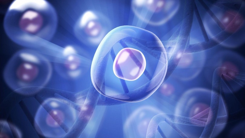 Plant Cell Research Provital Canva