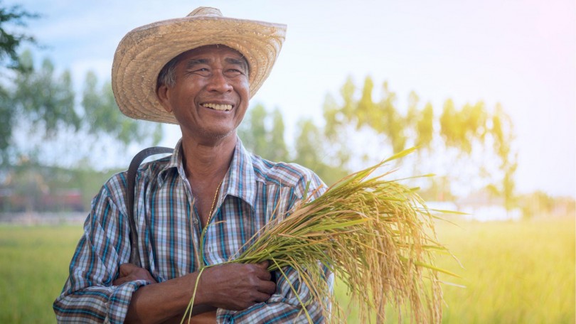 Provital Article Mexican Farmer Canva