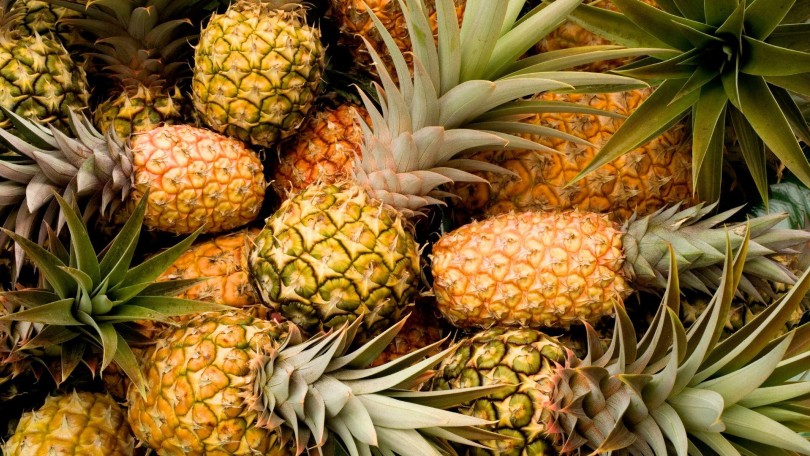 Sun Care Trends Pineapples Canva